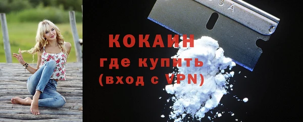 СК Алексин