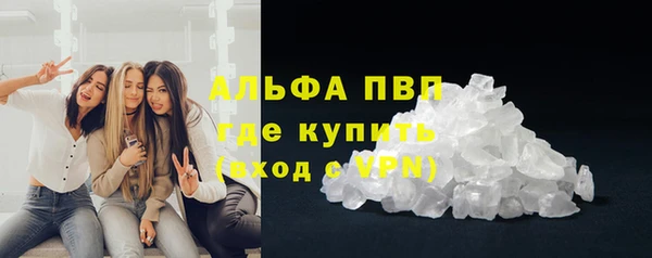 СК Алексин