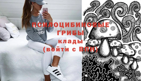 СК Алексин
