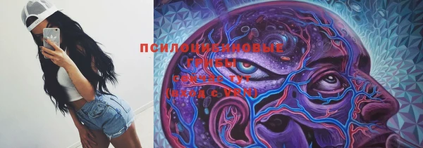 круглые Алзамай
