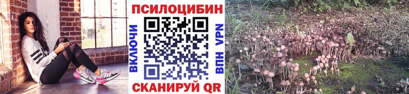 ссылка на мегу вход  Алексеевка  Галлюциногенные грибы Magic Shrooms 